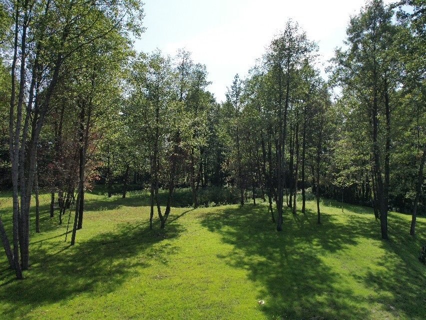Działka 4542 m² w Żałe (blisko jeziora, staw, las) Żałe  4 542m2 Foto 1