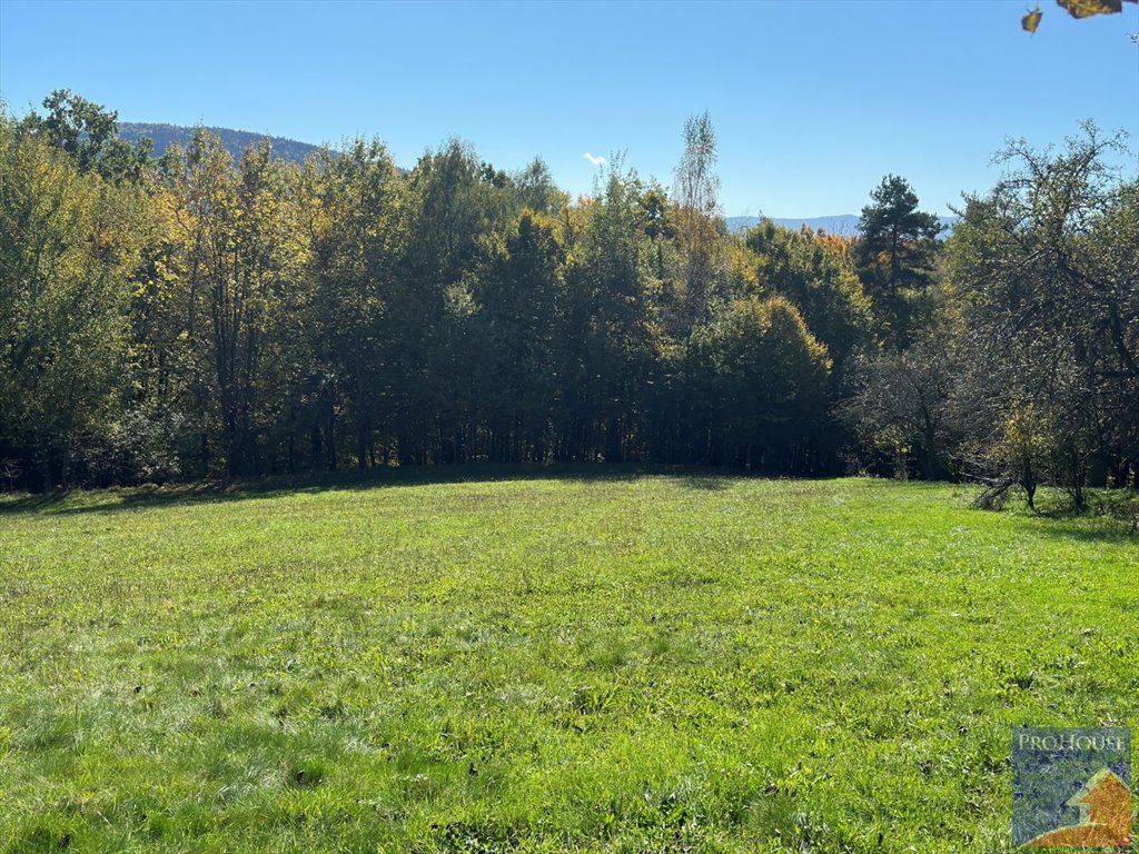 Działka 2 ha z starym domem i stodołą w Młynnem Młynne  21 444m2 Foto 1