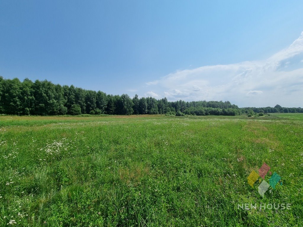 Działka rolna na sprzedaż Henrykowo  123 262m2 Foto 5