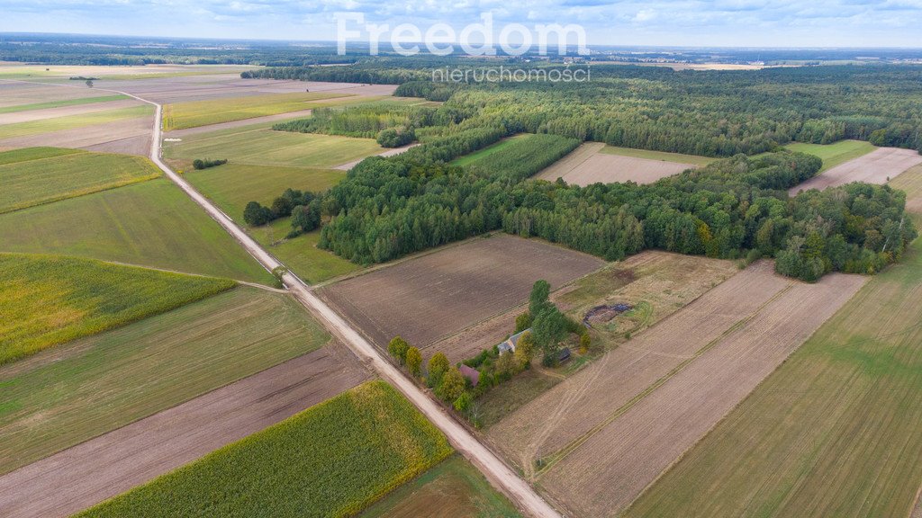 Działka budowlana na sprzedaż Kozłowo  5 000m2 Foto 17