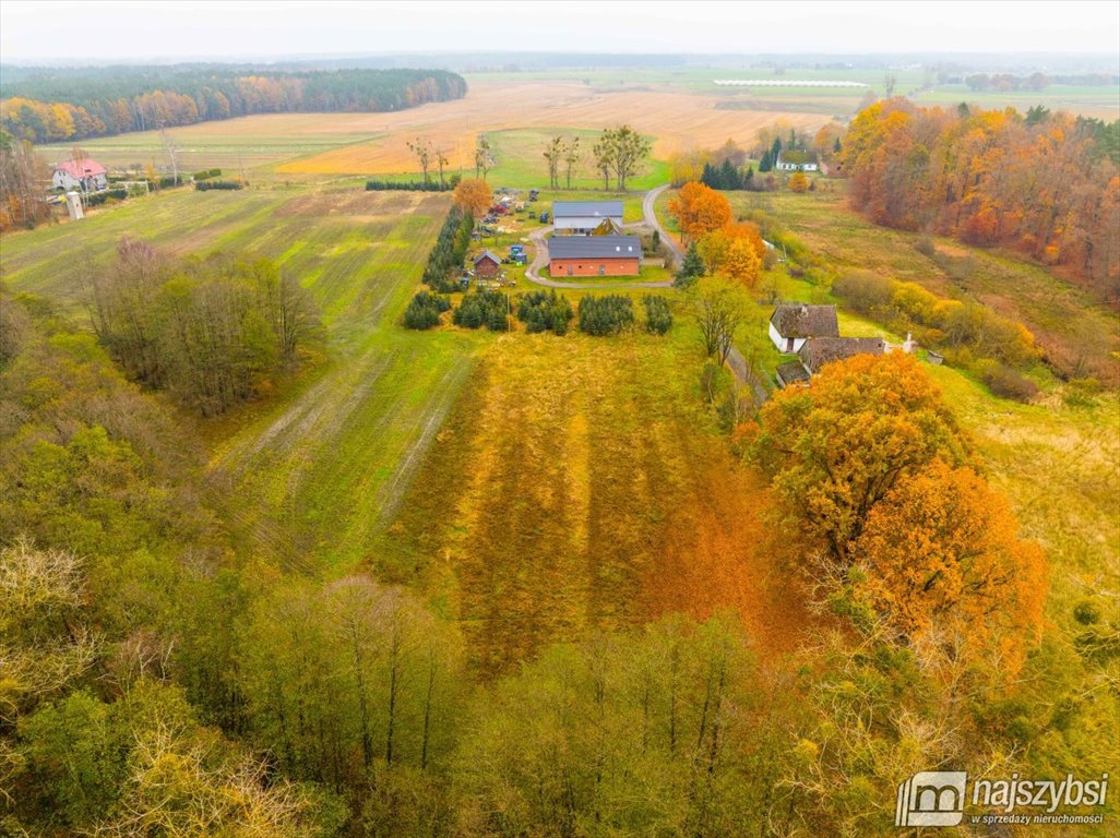 Działka budowlana na sprzedaż Węgorza, Wieś  1 500m2 Foto 8