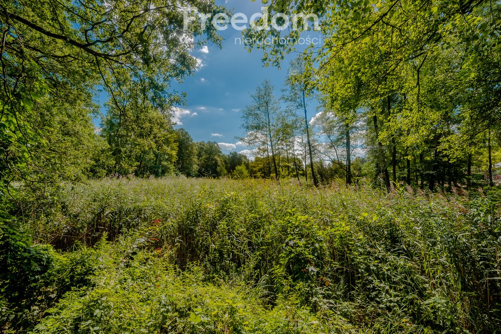 Działka inna na sprzedaż Wrząca, Nadrzeczna  10 205m2 Foto 10