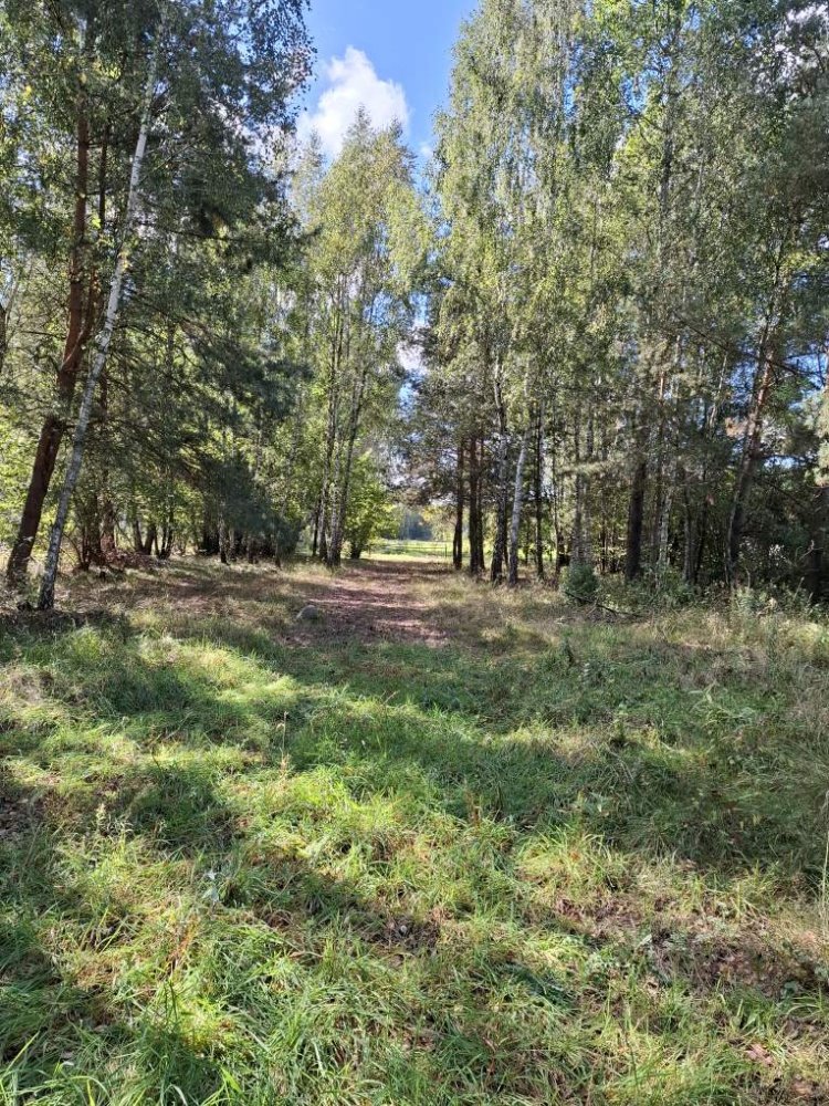 Działka rolna na sprzedaż Sokóle, Sokóle  8 418m2 Foto 1