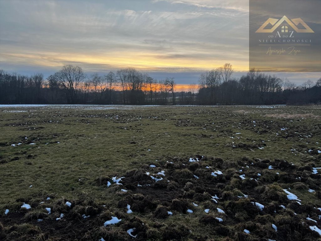 Działka rolna na sprzedaż Perła  2 600m2 Foto 1