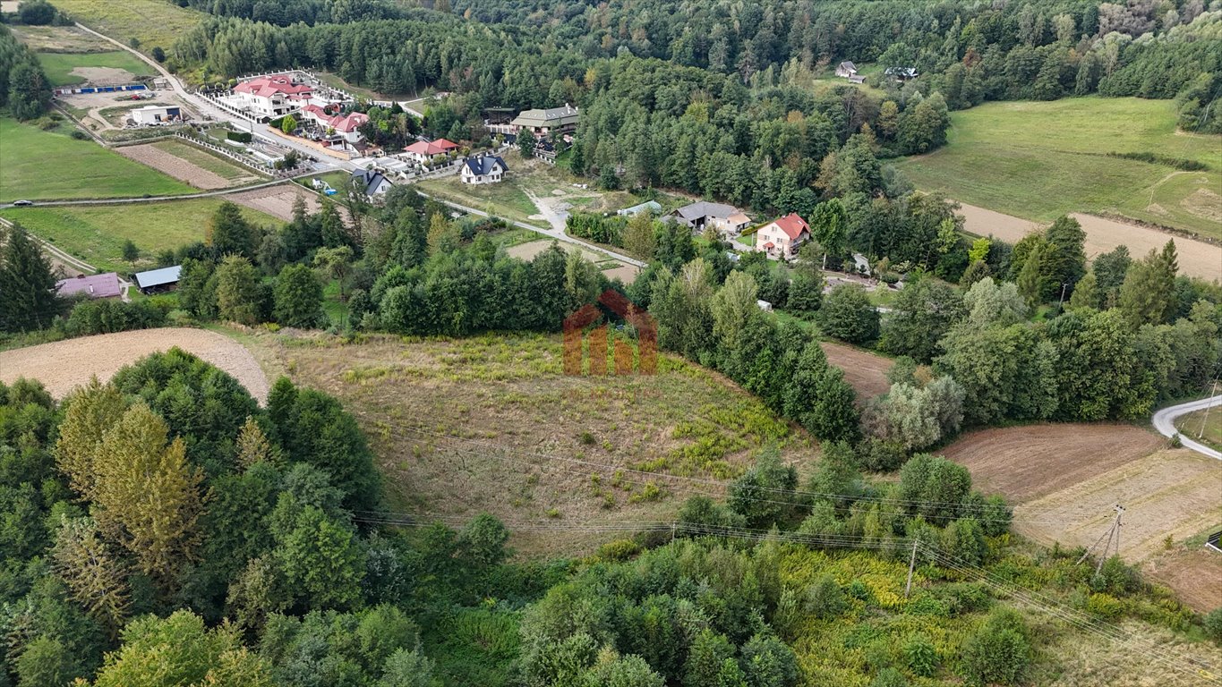 Działka budowlana na sprzedaż Niedźwiada  5 500m2 Foto 6