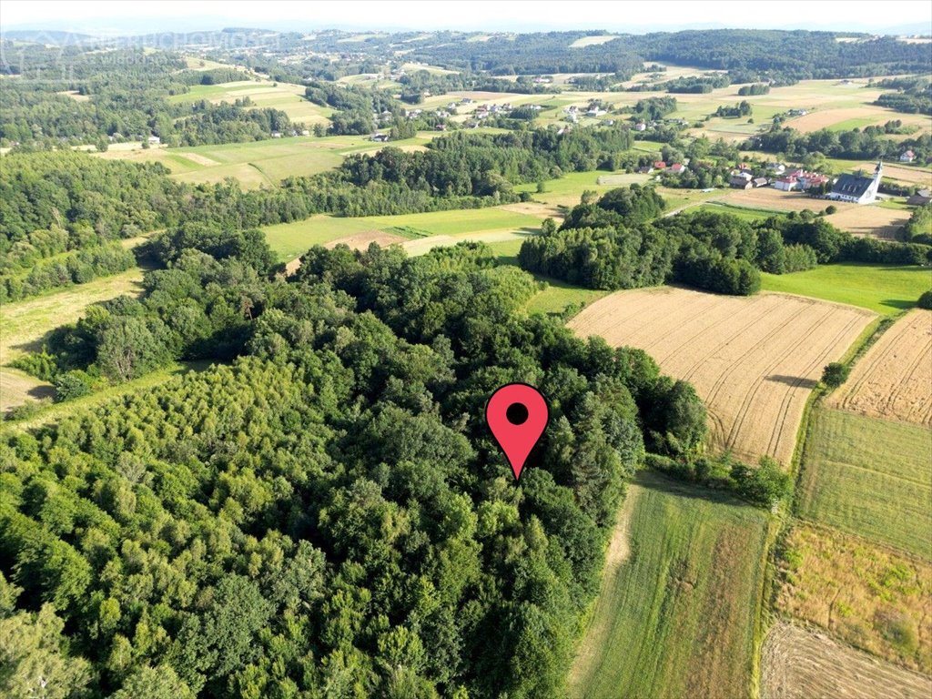 Działka leśna na sprzedaż Sitnica  8 867m2 Foto 1