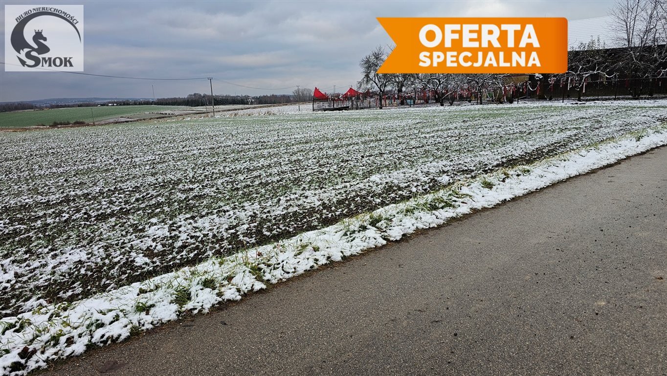 Działka budowlana na sprzedaż Lesieniec  1 300m2 Foto 4