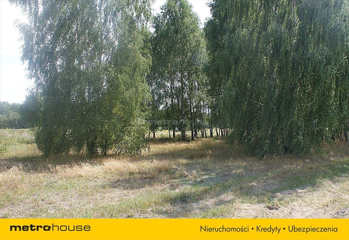 Działka rolna na sprzedaż Jakubów, Dobra  15 000m2 Foto 3