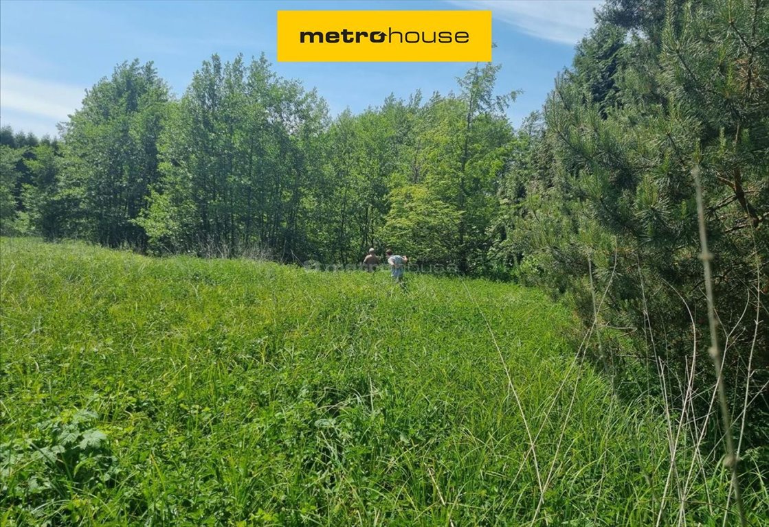 Zapraszam do działki z dostępem do rzeki, stawem i fundamentami pod dom Wilczoruda-Parcela  15 200m2 Foto 1
