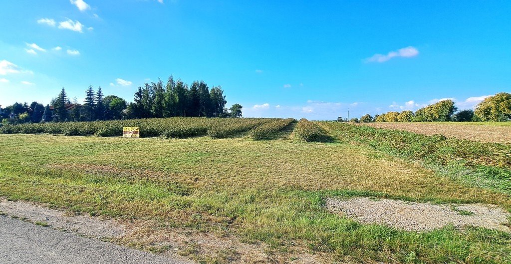 Działka budowlana na sprzedaż Tarło-Kolonia  1 827m2 Foto 1