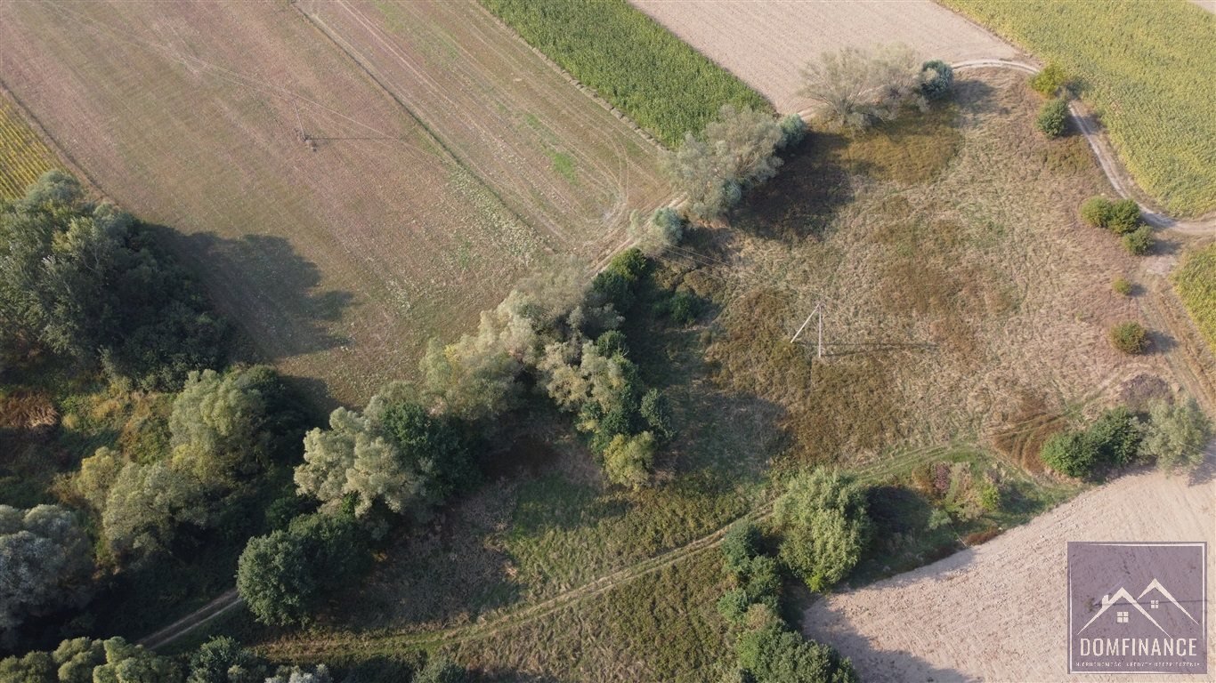 Działka rolna na sprzedaż Lubasz  10 100m2 Foto 14