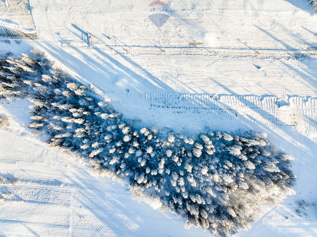 Działka rolna na sprzedaż Bukowina Tatrzańska  7 839m2 Foto 5