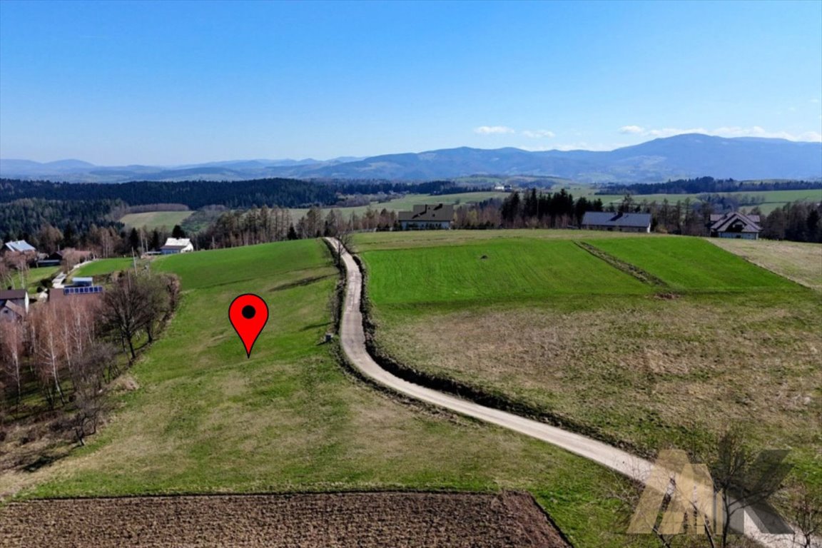 Działka rolna na sprzedaż Gaboń  4 000m2 Foto 1