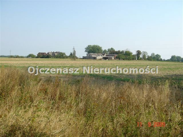 Działka rolna na sprzedaż Małociechowo  30 425m2 Foto 2