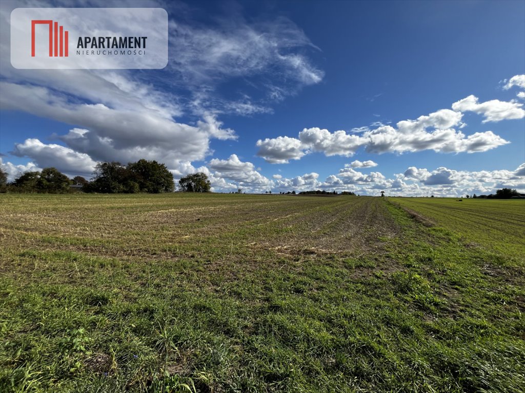 Działka gospodarstwo rolne na sprzedaż Karolewo  57 600m2 Foto 4