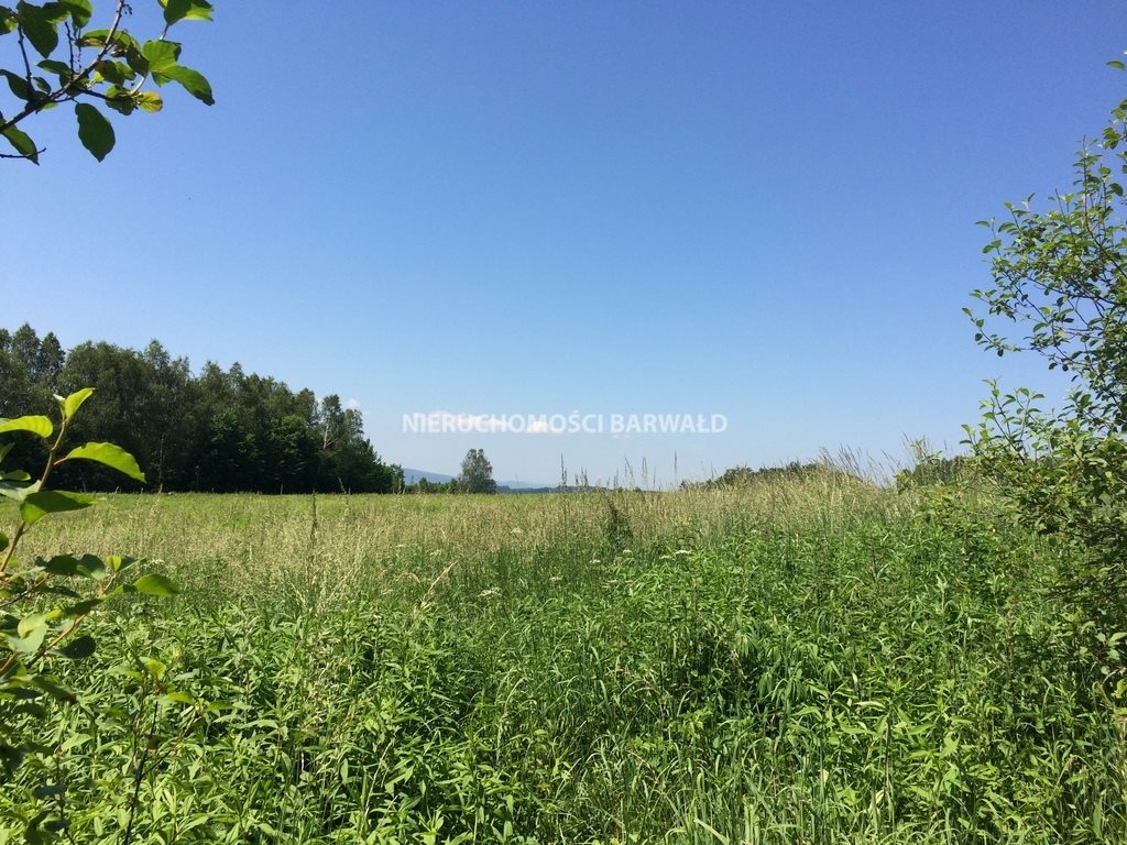 Działka budowlana na sprzedaż Kalwaria Zebrzydowska 24 786m2 Foto 1 Działka budowlana na sprzedaż Kalwaria Zebrzydowska 24 786m2 Foto 1