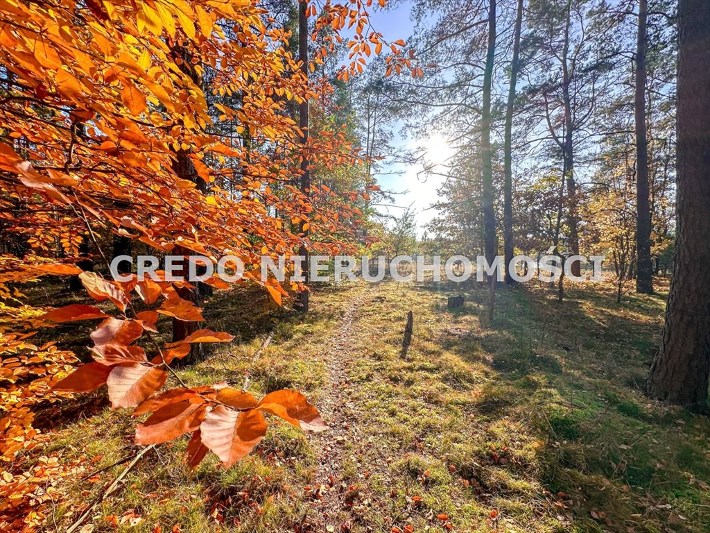 Działka budowlana na sprzedaż Pelnik  1 100m2 Foto 15