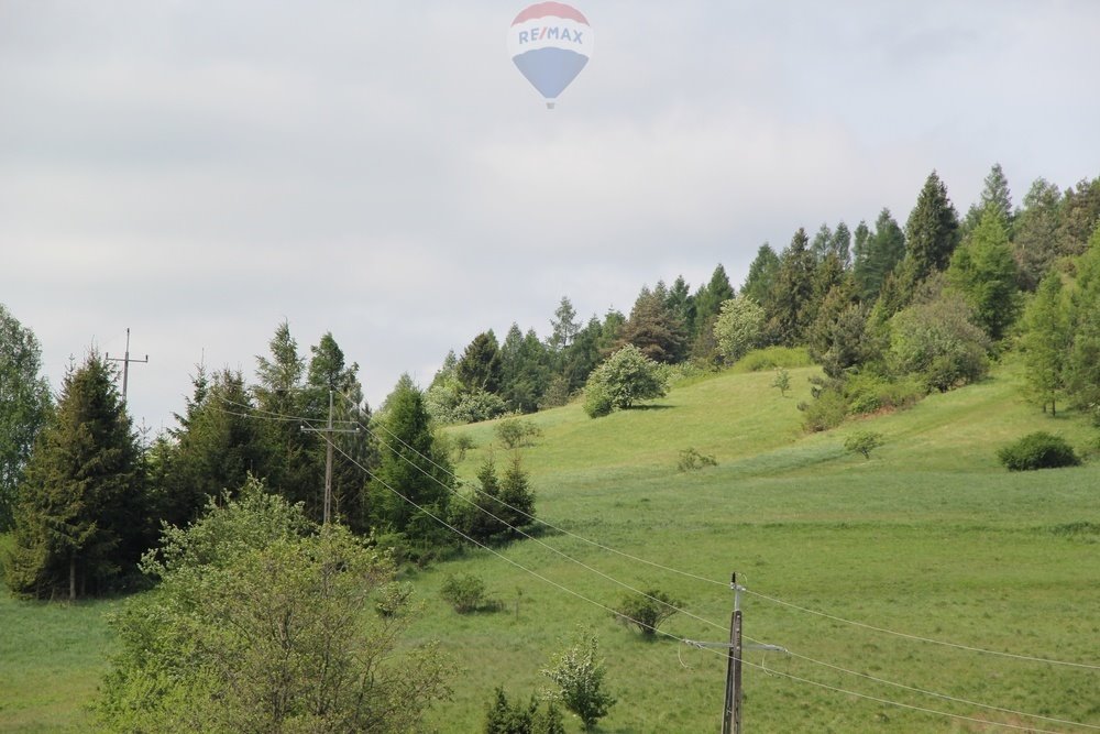 Działka leśna na sprzedaż Krośnica  8 049m2 Foto 4