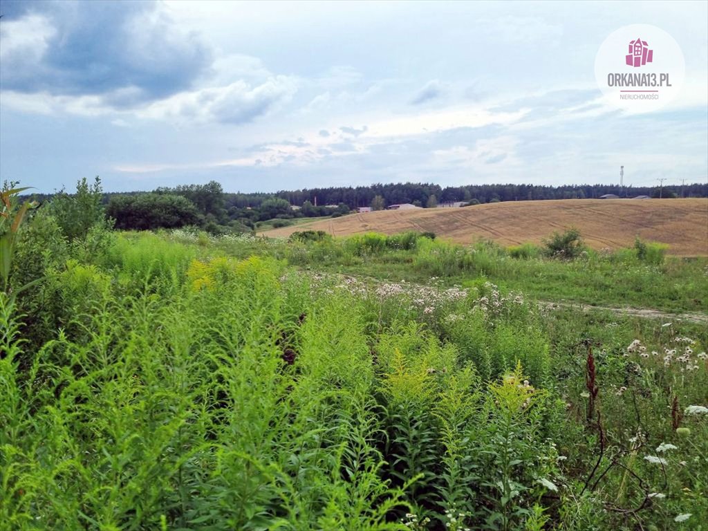 Działka budowlana na sprzedaż Kieźliny, ul. Edyty Stein  1 759m2 Foto 7