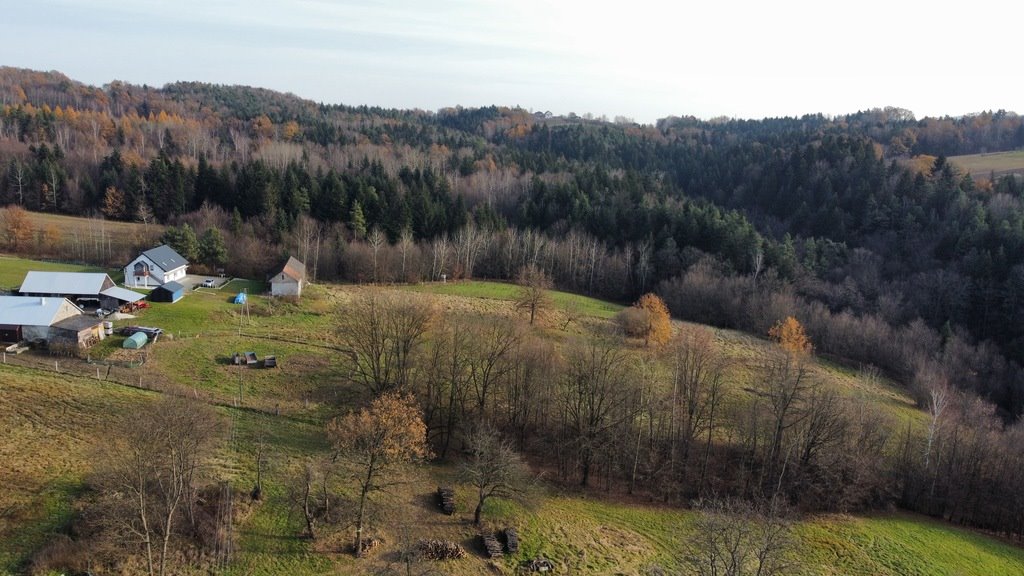 Działka budowlana na sprzedaż Cichawka  11 934m2 Foto 4