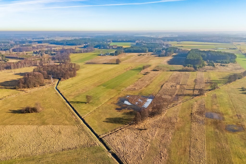 Działka siedliskowa na sprzedaż Borki  101 600m2 Foto 16