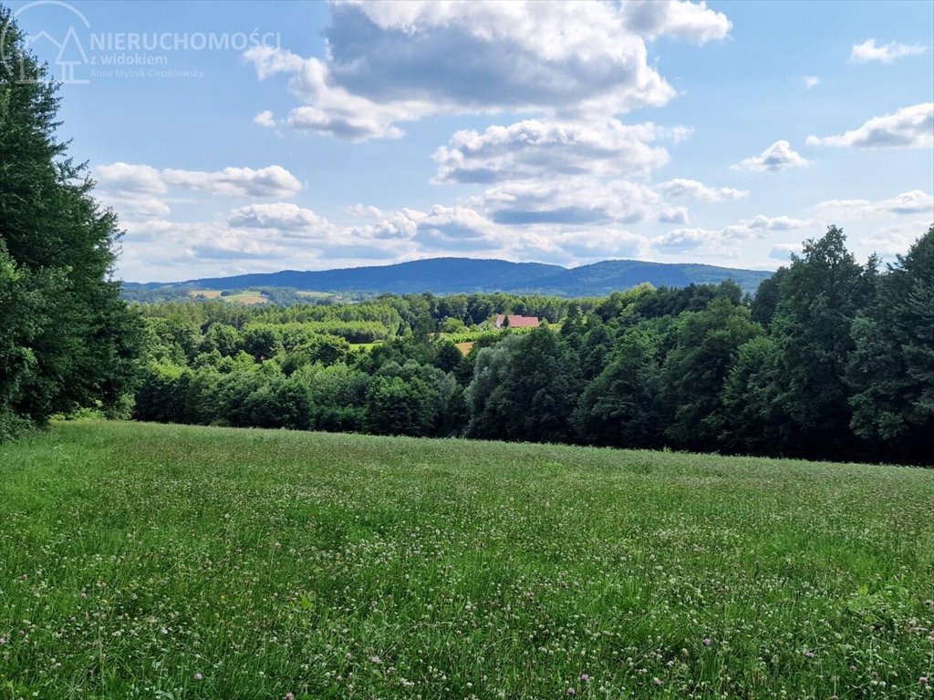 Działka budowlana na sprzedaż Błażkowa  2 559m2 Foto 1