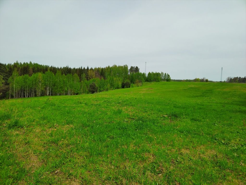 Działka inna na sprzedaż Danowo, Danowo  1 700m2 Foto 18