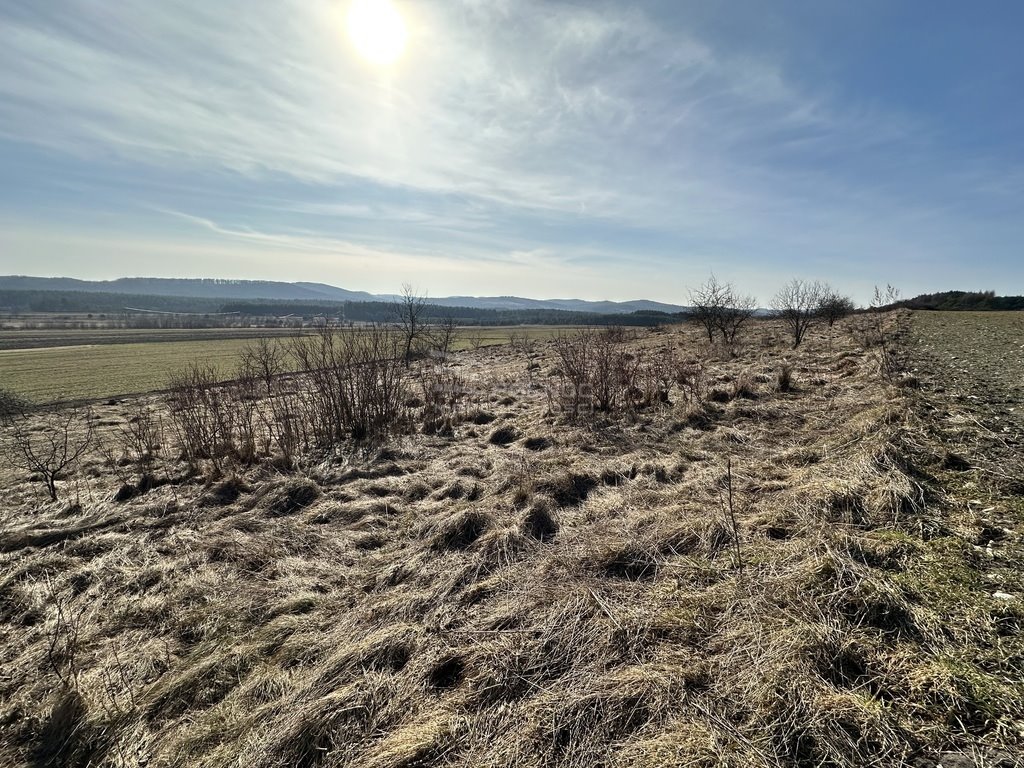 Działka rekreacyjna na sprzedaż Chrząstowice  930m2 Foto 3