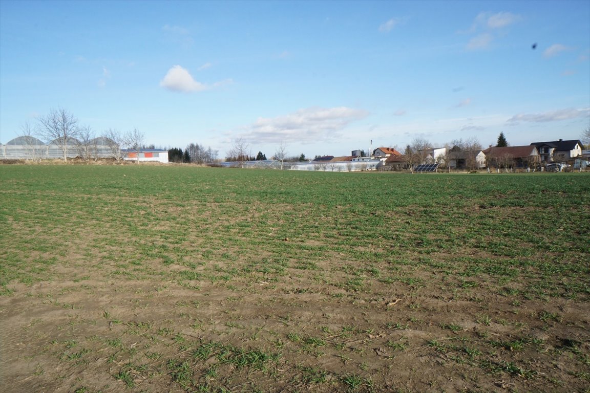 Działka 3564 m² w Tuczempach – idealna pod dom lub biznes Tuczempy, Tuczempy  3 564m2 Foto 1