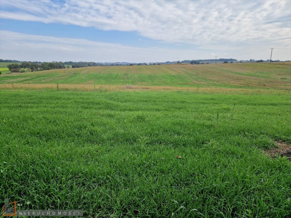 Działka budowlana na sprzedaż Wilków  785m2 Foto 2