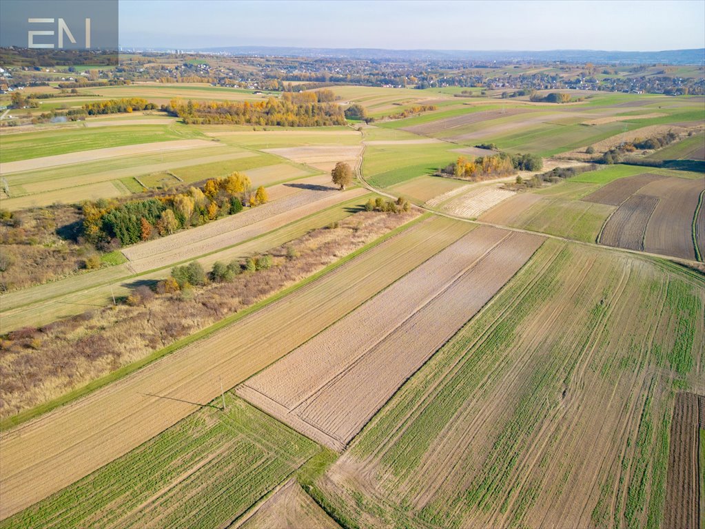 Działka rolna na sprzedaż Zgłobień  6 100m2 Foto 6