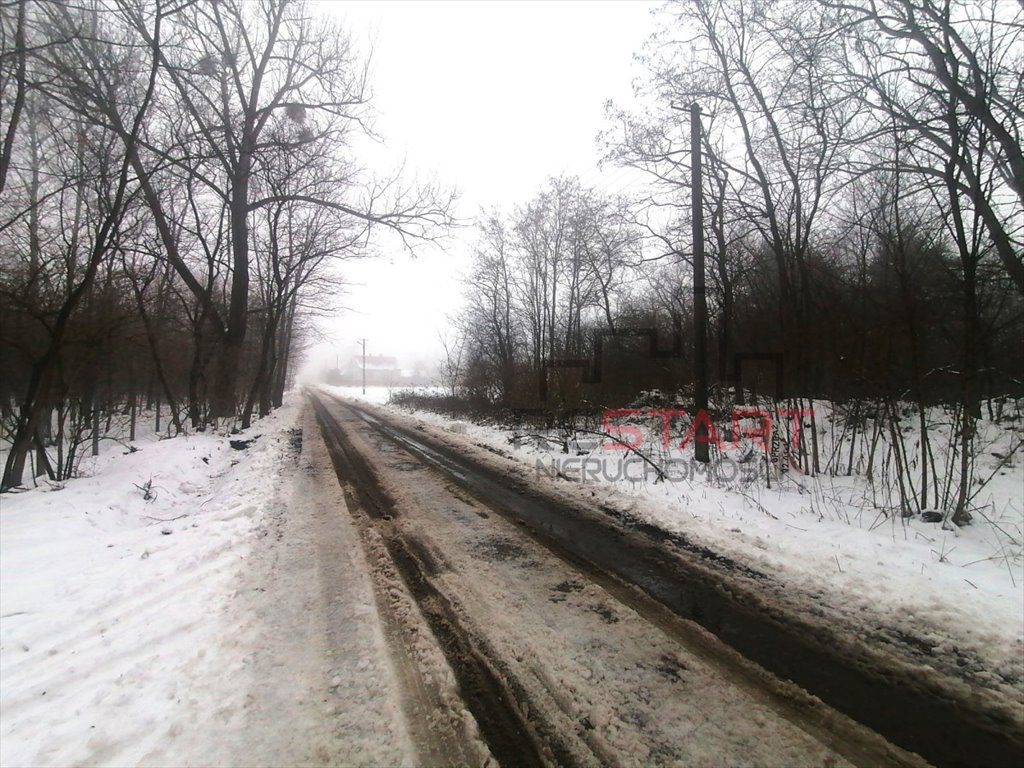 Działka rolna na sprzedaż Korabiewice  23 667m2 Foto 1