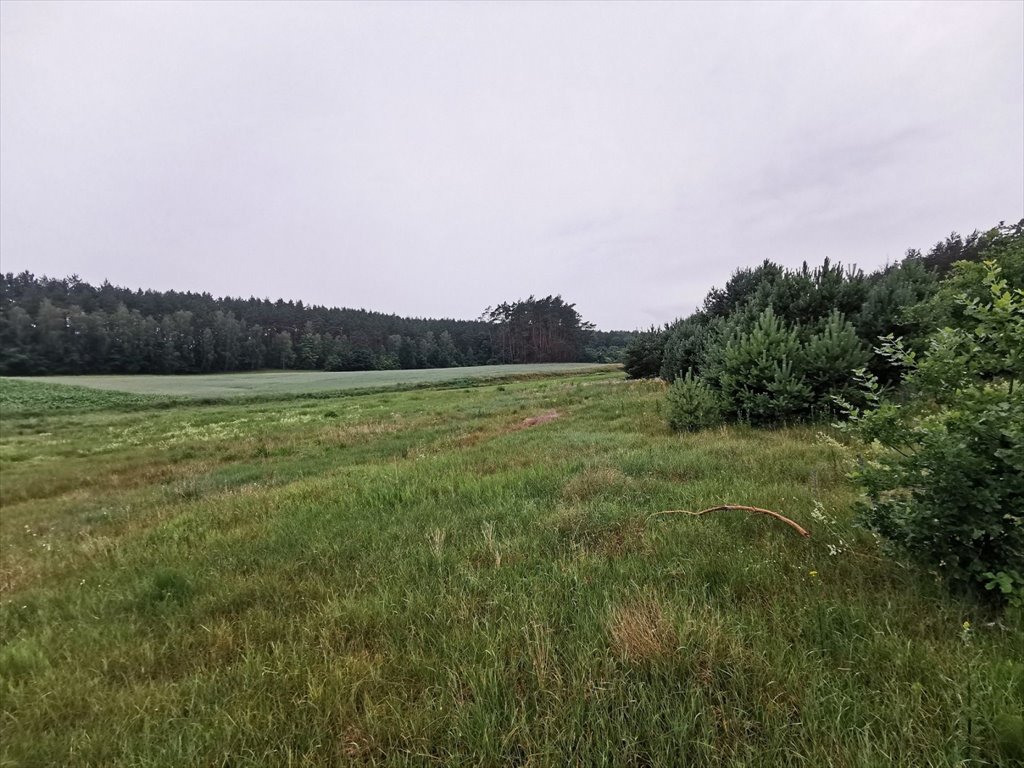 Działka budowlana na sprzedaż Międzybłocie, Międzybłocie  3 008m2 Foto 11