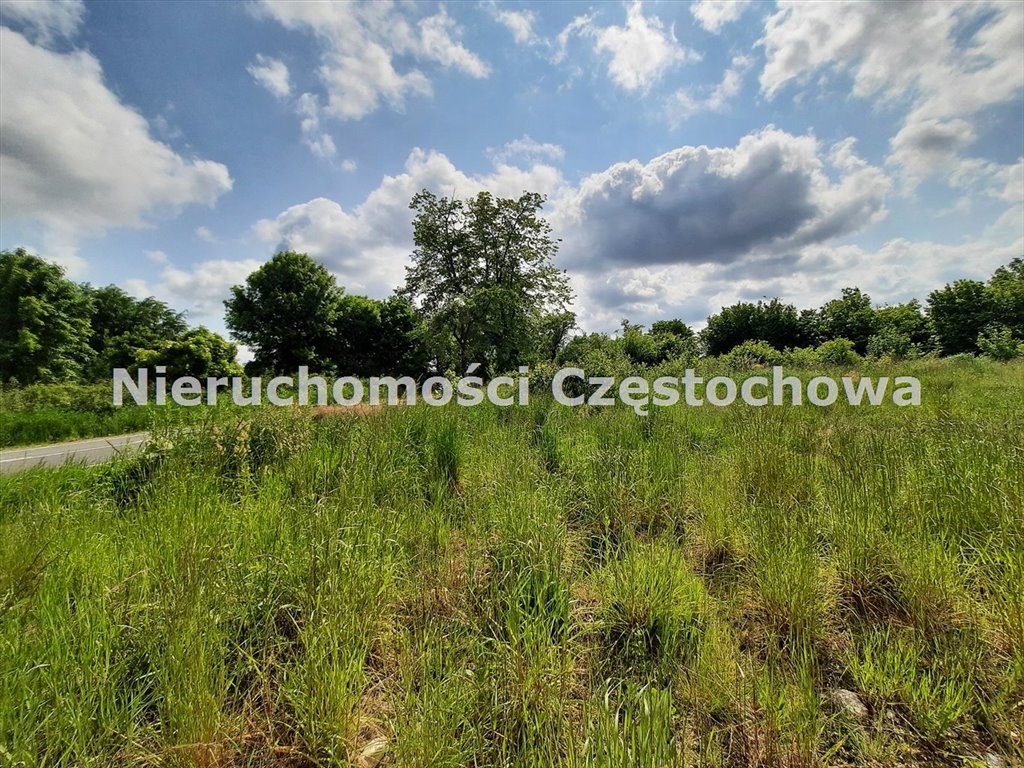 Działka budowlana 11 110 m² z mediami i asfaltowym dojazdem Borowno  11 110m2 Foto 1