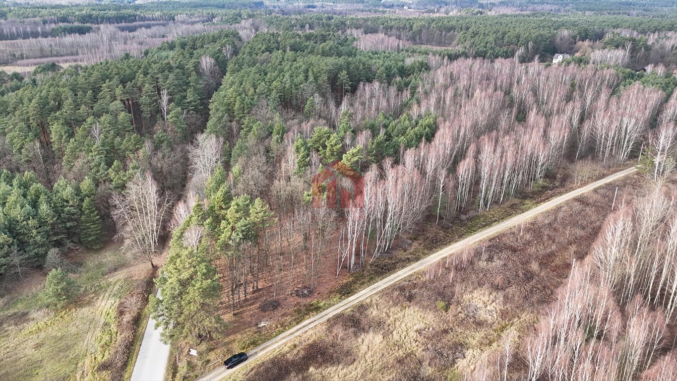 Działka budowlana na sprzedaż Czarna Sędziszowska  1 040m2 Foto 1