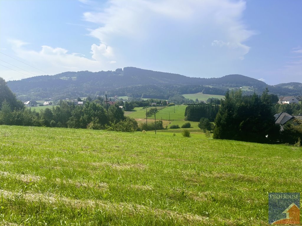 Działka budowlana na sprzedaż Rupniów  2 000m2 Foto 3