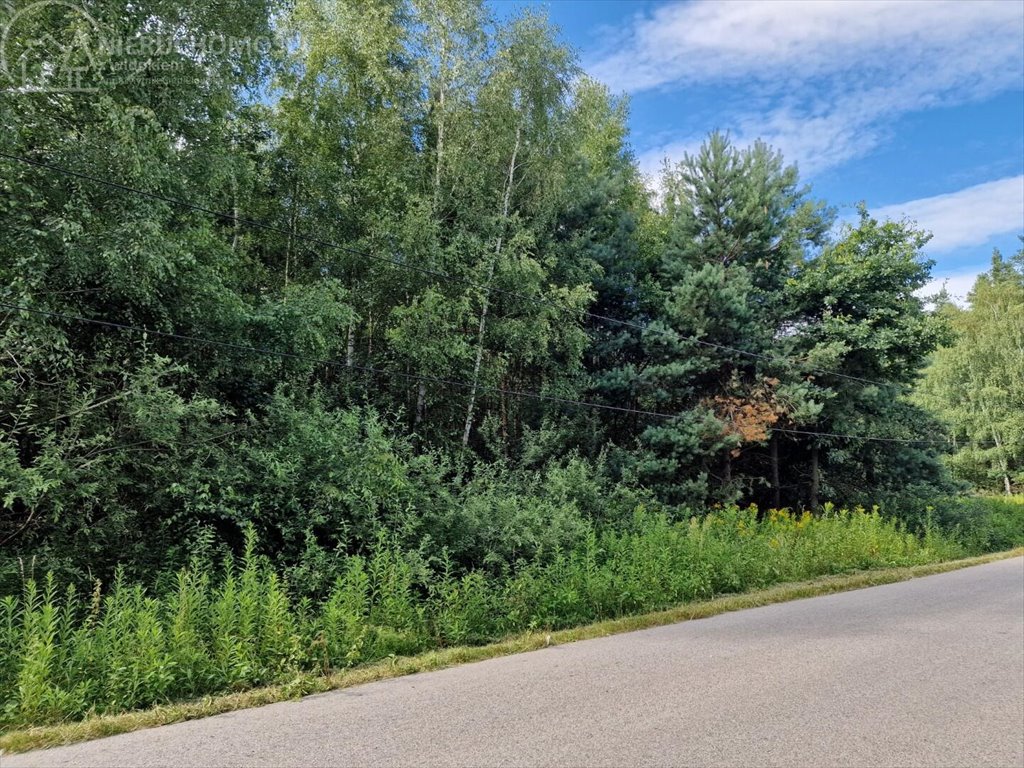 Działka leśna na sprzedaż Pojawie  10 700m2 Foto 4