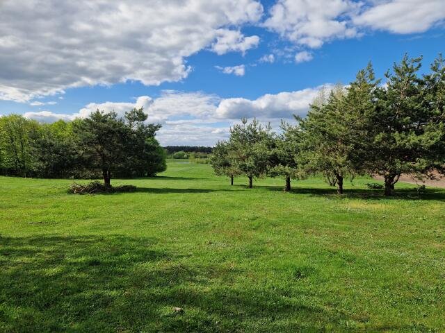 Działka budowlana na sprzedaż Nowogród, Śródpolna  1 088m2 Foto 12