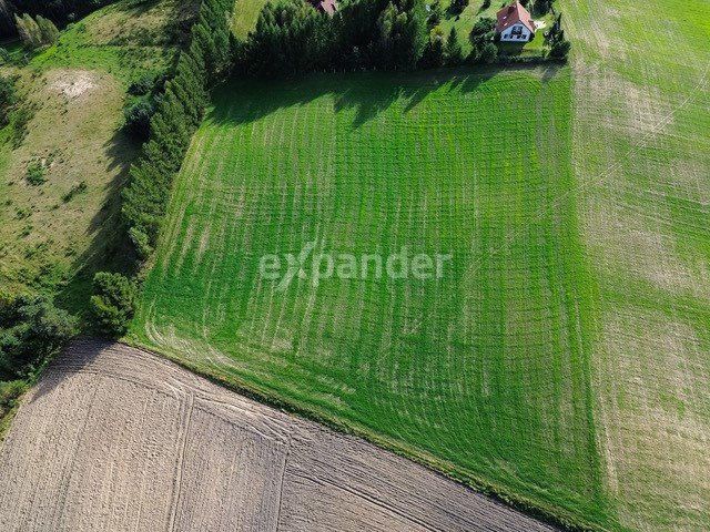 Dwie działki 11 600 m² z decyzją o zabudowie w Kaszubach Sulęczyno, Sulecki Borek  11 600m2 Foto 1