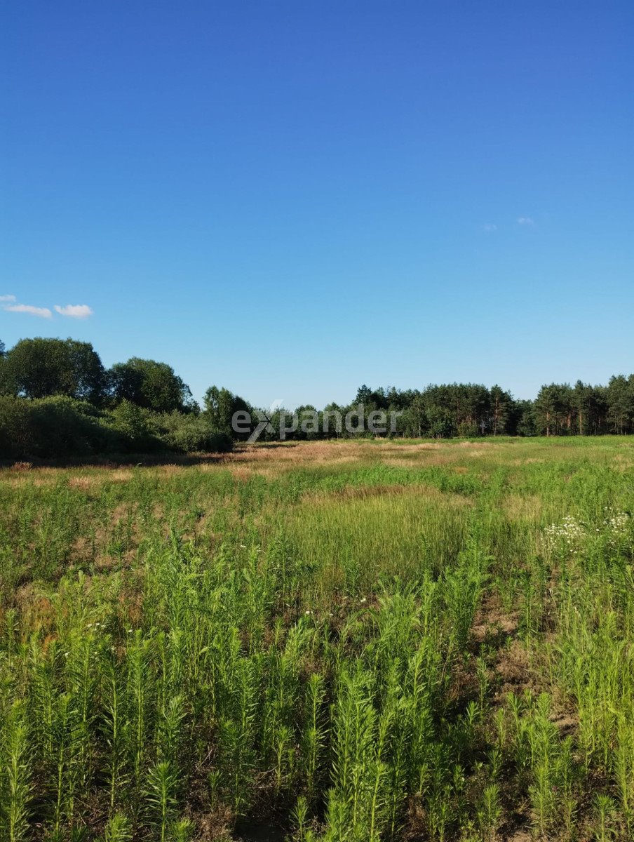 Działka rolna na sprzedaż Blinno  15 000m2 Foto 8