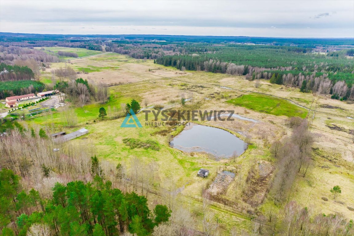 Działka rolna na sprzedaż Zielin  59 900m2 Foto 9