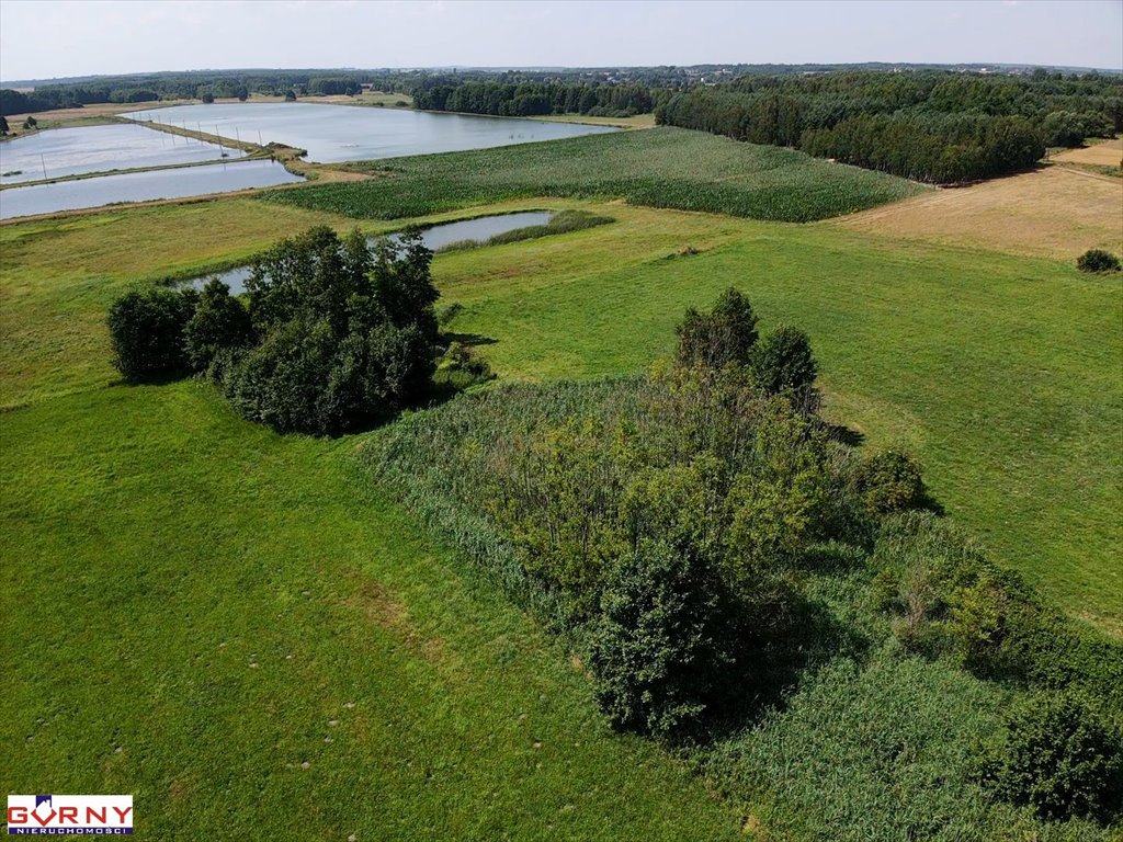 Działka inna na sprzedaż Mierzyn  32 000m2 Foto 7