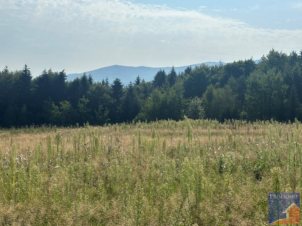 Działka budowlana na sprzedaż Stare Rybie  900m2 Foto 2