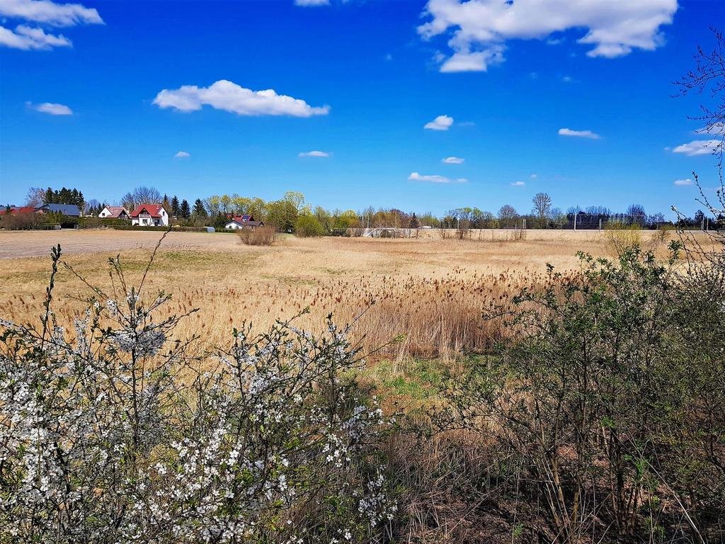 Działka 50 ar pod dom z warunkami zabudowy, Miłocin Miłocin  5 000m2 Foto 1