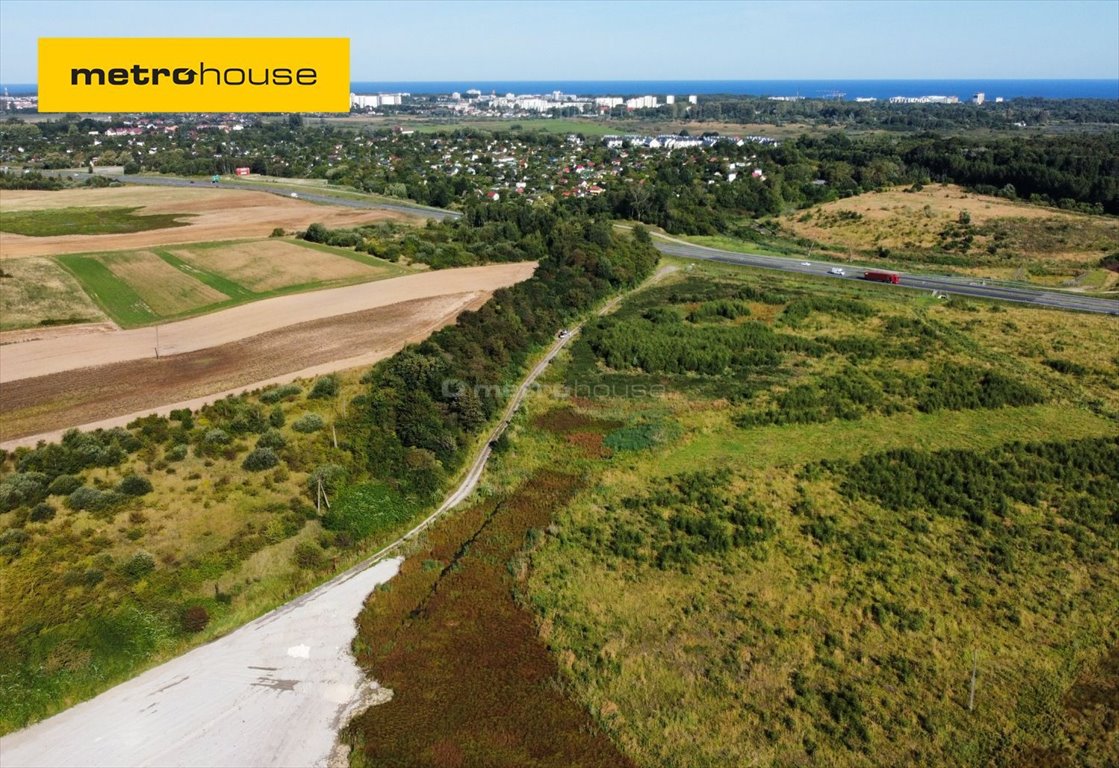 Działka rolna na sprzedaż Niekanin  19 000m2 Foto 1