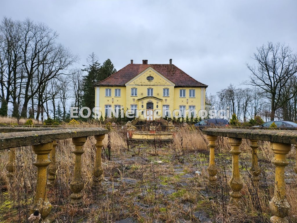 Ekskluzywny pałac z 7,5 ha terenu, remont do własnej aranżacji! polecam! Podegrodzie  659m2 Foto 1
