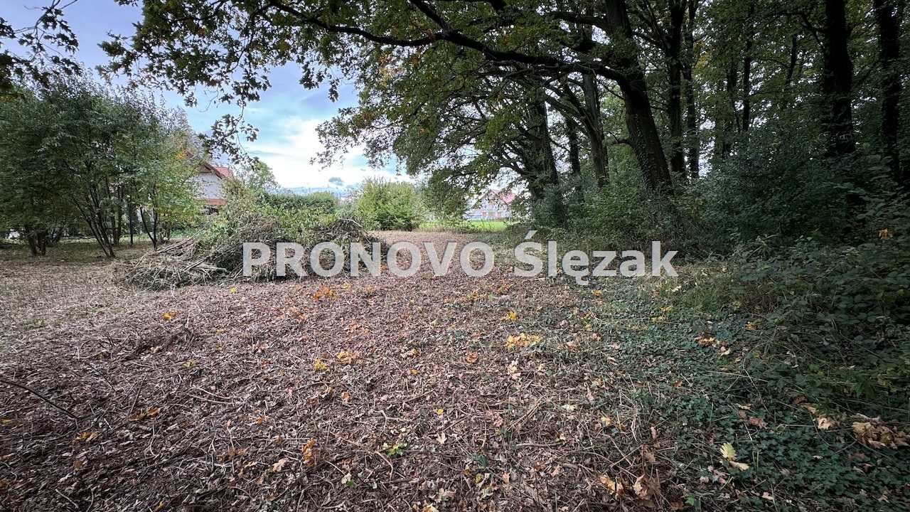 Działka inna na sprzedaż Oborniki Ślaskie, Siemianice  1 174m2 Foto 3