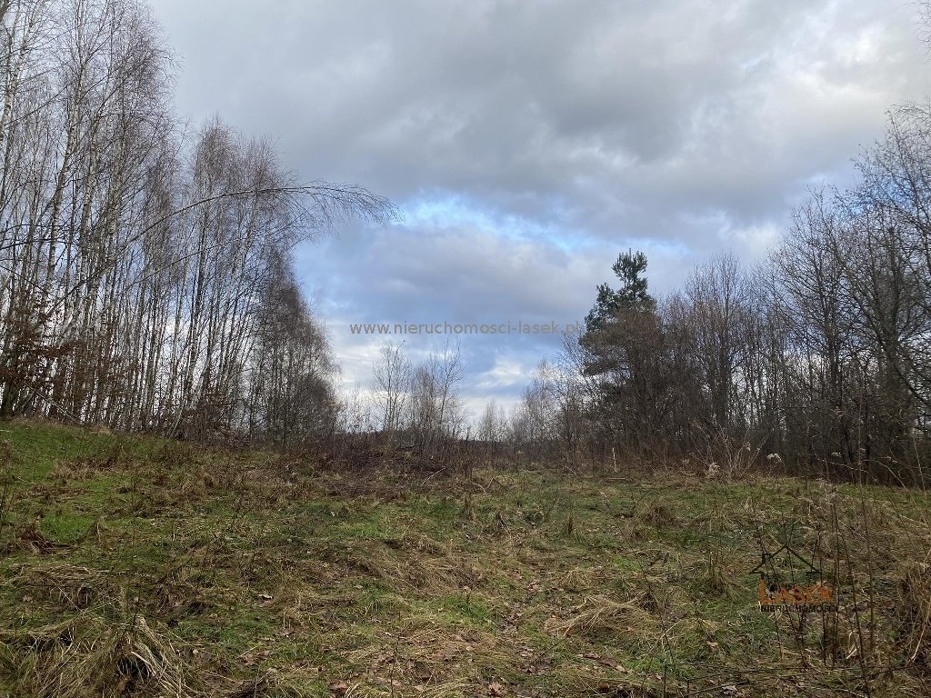 Działka 20 000 m² w otoczeniu lasu, z możliwością zabudowy Stanisław Górny  20 000m2 Foto 1