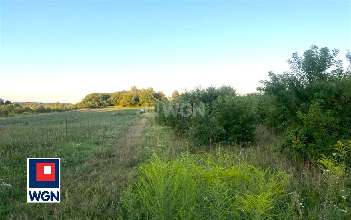 Działka budowlana na sprzedaż Złoty Potok, Wrzosowa  1 301m2 Foto 6