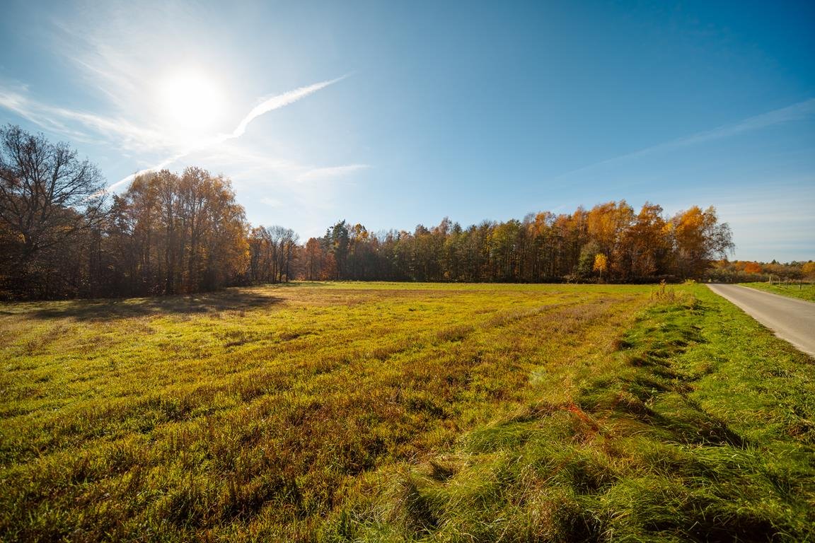 Działka budowlana na sprzedaż Lipnica Dolna, Zamieszkaj przy lesie – cisza, natura i widoki na wyciągnięcie ręki  529m2 Foto 1